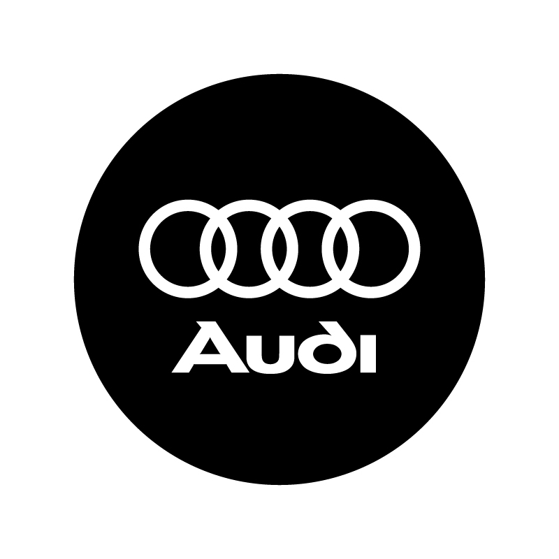 DSM Audi Türbeleuchtung mit Logo